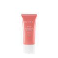 The Brightening Sunscreen SPF 55 — Tone Up